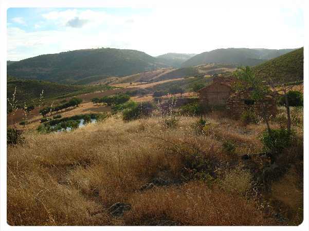 La Huerta de la Rosada